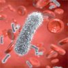 Decontamination Strategies and Bloodstream Infections With Antibiotic-Resistant Microorganisms in Ventilated Patients
