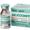 Low-dose Nocturnal Dexmedetomidine Prevents ICU Delirium