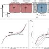 Meaning of Intracranial Pressure-to-Blood Pressure Fisher-Transformed Pearson Correlation-Derived Optimal Cerebral Perfusion Pressure