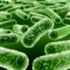 Reassessing the death risk related to probiotics in critically ill patients
