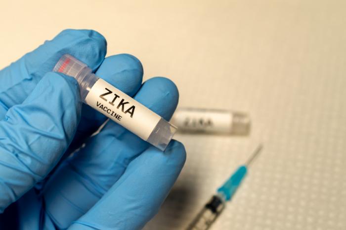 Zika: Researchers create powerful tool for vaccine, antiviral development
