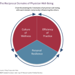 Physician Well-Being: The Reciprocity of Efficiency, Resilience, Wellness Culture