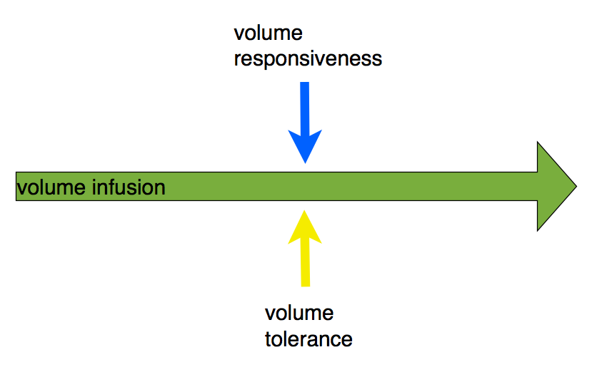 Volume responsiveness and volume tolerance: a conceptual diagram