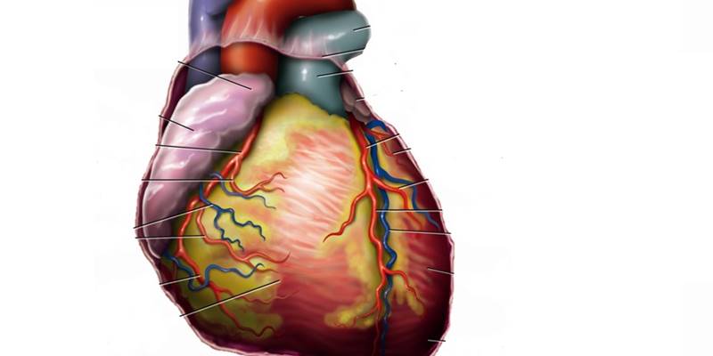 Catheter ablation more effective than antiarrythmic escalation
