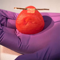 3d-printed-organs-could-let-surgeons-practice-and-plan-dangerous-operations