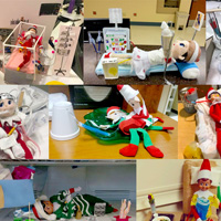 2018 AACN Elf on the Shelf Contest