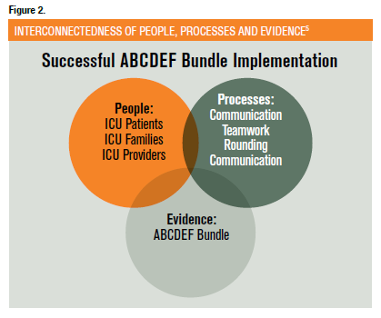 Worldwide Survey of the ABCDEF Bundle in the ICU
