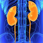 Earlier Renal Replacement Therapy for AKI? Not So Fast, Says Dr Berns