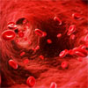 VTE history in female relatives increases absolute thrombotic risk