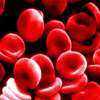 A closer step to artificial blood