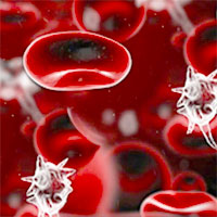 A Rare Group of White Blood Cells May Be the Secret to Prevent Sepsis