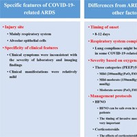 Acute Respiratory Failure in COVID-19: Typical ARDS?
