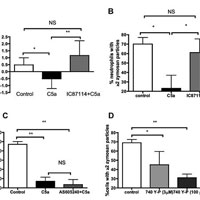 Anaphylatoxin C5a Impairs Phagocytosis by Neutrophils