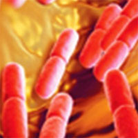 antibiotic-timing-in-severe-sepsis