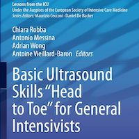 Basic Ultrasound Skills “Head to Toe” for General Intensivists (Lessons from the ICU)