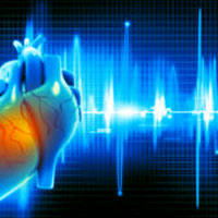 Bedside Limited Echocardiography by the Emergency Physician Is Accurate During Evaluation of the Critically Ill Patient