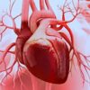Bempedoic Acid Associated with Lower Risk of Cardiovascular Events