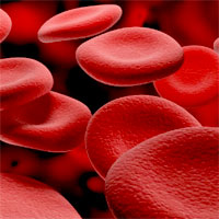 blood-transfusion-fresh-vs-standard-issue-on-multiple-organ-dysfunction-syndrome-in-critically-ill-pediatric-patients