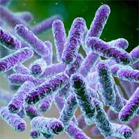 characteristics-risk-factors-and-outcomes-of-clostridium-difficile-infections-in-greek-icu