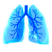 Considerations in the Diagnosis of Idiopathic Pulmonary Fibrosis