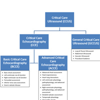 Critical Care Echocardiography: A Certification Pathway for Advanced Users