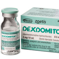 dexmedetomidine