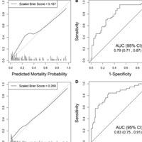 early-prediction-of-prognosis-in-elderly-acute-stroke-patients