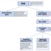 Educational Initiatives for EEG in the Critical Care Setting