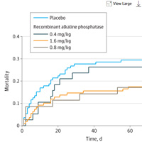 effect-of-human-recombinant-alkaline-phosphatase-on-7-day-creatinine-clearance-in-patients-with-sepsis-associated-aki