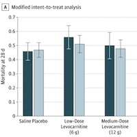 effect-of-levocarnitine-vs-placebo-as-an-adjunctive-treatment-for-septic-shock