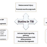 Effect of Statins on Cognitive Outcome After TBI