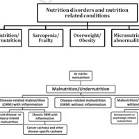 ESPEN Guideline on Clinical Nutrition in the ICU