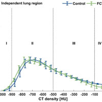 Flow-controlled Ventilation Enhances Lung Aeration