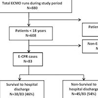 Functional Status Change Among Children With ECMO to Support Cardiopulmonary Resuscitation in a Pediatric Cardiac ICU