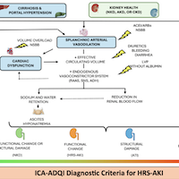 Hepatorenal Syndrome in the ICU