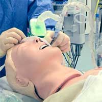 High Breath-by-Breath Variability Is Associated With Extubation Failure in Children