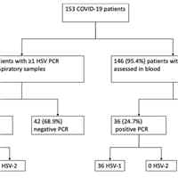 HSV-1 Reactivation Associated with Increased Mortality Risk and Pneumonia in COVID-19 Patients