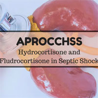 Hydrocortisone plus Fludrocortisone for Adults with Septic Shock