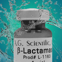 identifying-at-risk-patients-for-sub-optimal-beta-lactam-exposure-in-critically-ill-patients-with-severe-infections