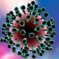 Impact of Early Neuraminidase Inhibitor Treatment on Clinical Outcomes in Patients with Influenza B-related Pneumonia