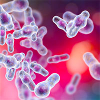 High Frequency of Enterococcal Bloodstream Infections
