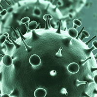influenza-and-considerations-regarding-infectious-mimics
