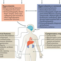 intravenous-fluid-therapy-in-critically-ill-adults