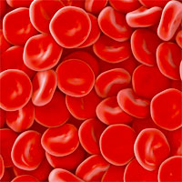 Is Hemoglobin Good for Cerebral Oxygenation and Clinical Outcome in Acute Brain Injury?