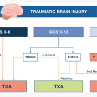 Is Tranexamic Acid Going to CRASH the Management of TBI?