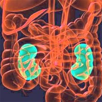 long-term-survival-in-patients-with-septic-acute-kidney-injury-is-strongly-influenced-by-renal-recovery
