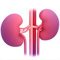 Low-dose Dopamine in Patients with Early Renal Dysfunction