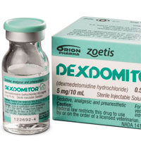 low-dose-nocturnal-dexmedetomidine-prevents-icu-delirium