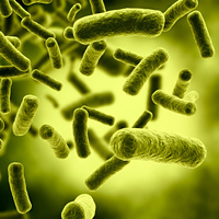 Lower C. difficile mortality with vancomycin than metronidazole