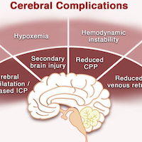 Managing the Cerebral Complications of ARDS